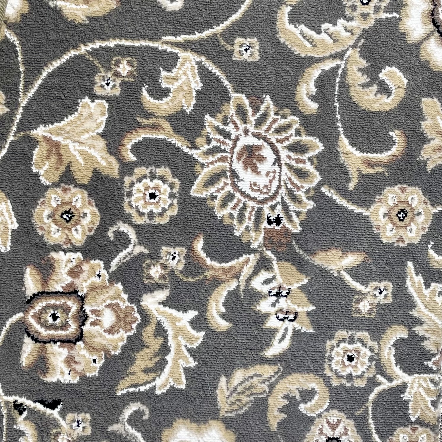 ميلان7 - الصورة 5