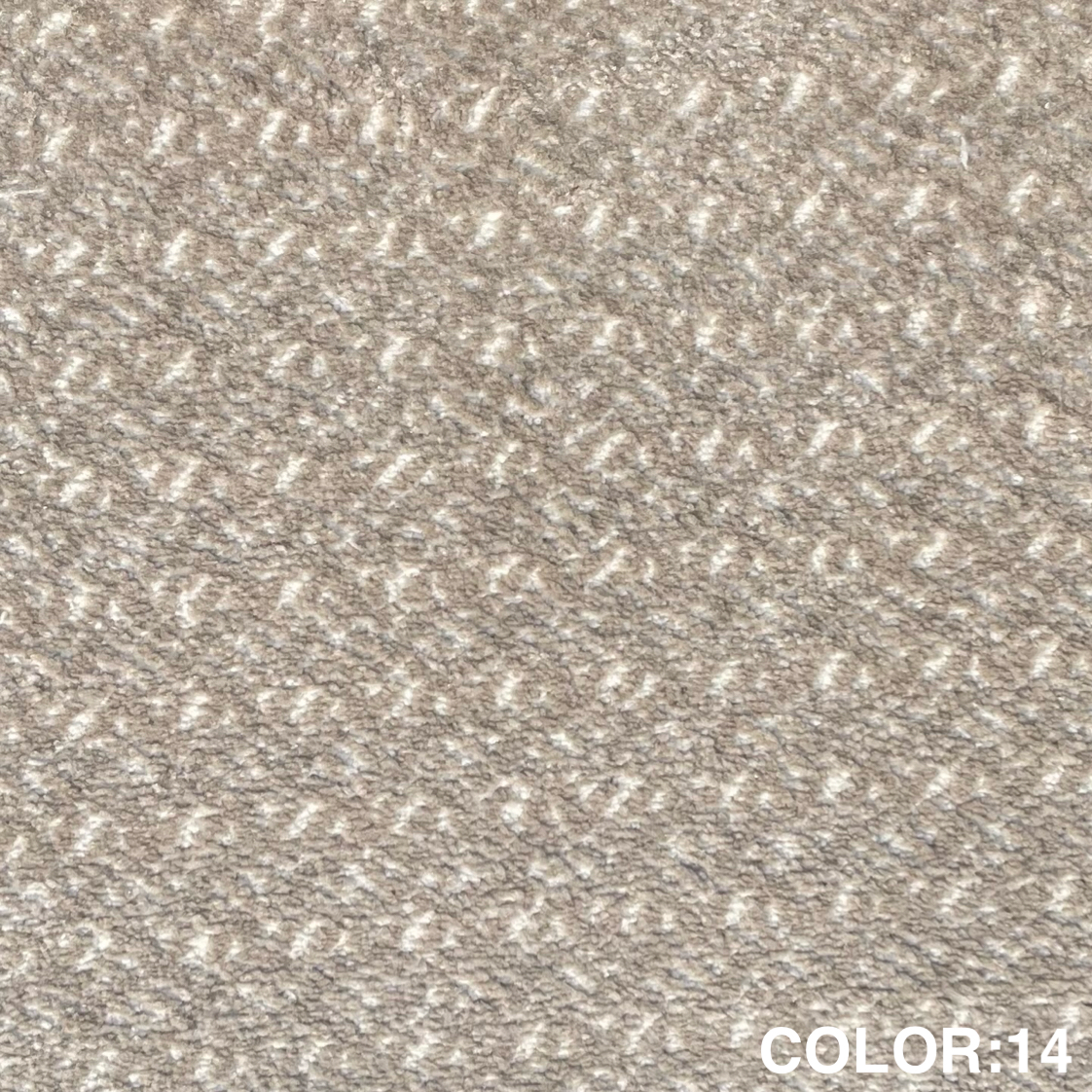 شانيل - الصورة 3